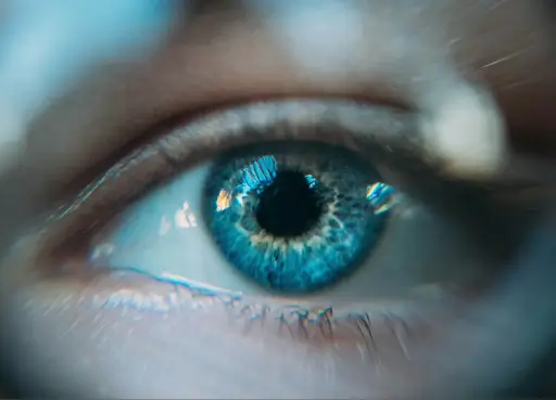 Persuadme preview image